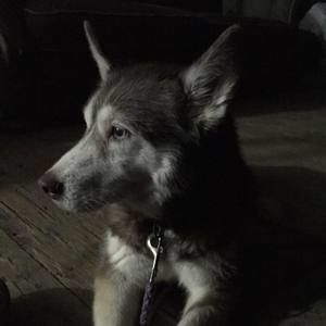 Meet your Posher, Johni